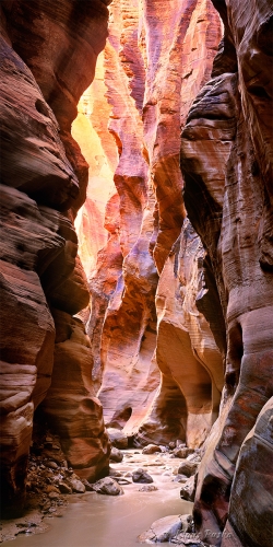 Scalloped Sandstone - Parunuweap Canyon, Utah