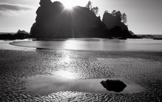 Point of Arches Tide Pool - Olympic National Park, Washington