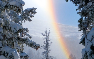 Frozen Rainbow