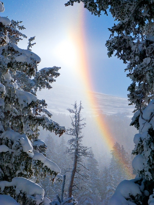 Frozen Rainbow