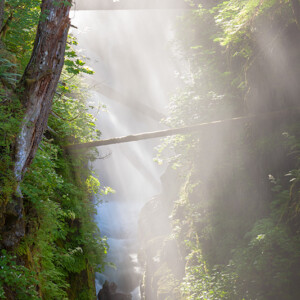 Sol Duc Gorge - Olympic National Park, Washington