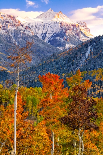 Cimarron Autumn - San Juan Mountains, Colorado