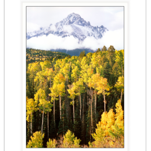 Confluence Of Seasons - Mount Sneffels Wilderness, Colorado