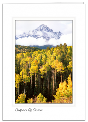 Confluence Of Seasons - Mount Sneffels Wilderness, Colorado