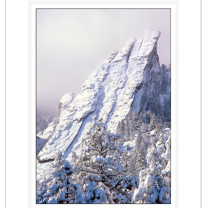 Winter Sentinel - Front Range, Colorado