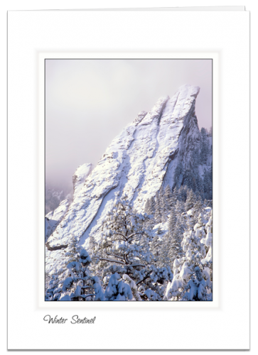 Winter Sentinel - Front Range, Colorado