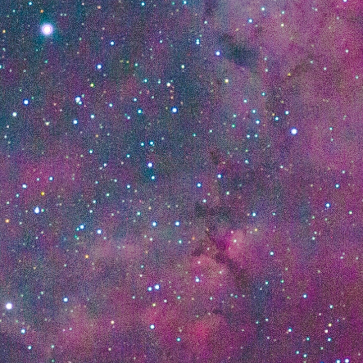 Rosette Nebula - Single Frame Processed 100% Crop