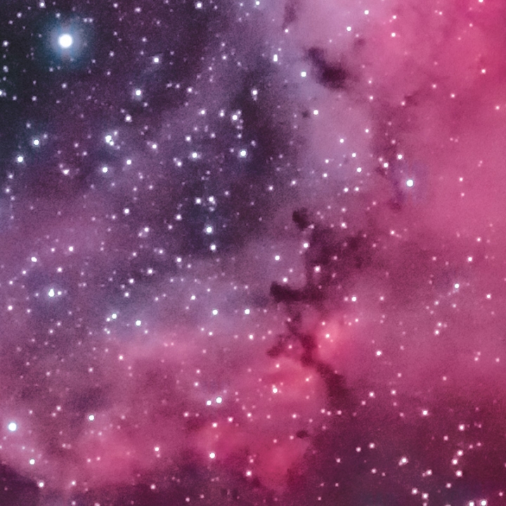Rosette Nebula - Stacked and Processed 100% Crop