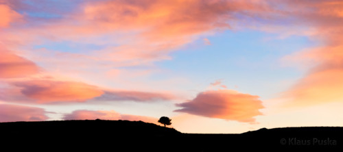 Lone Pine Sunset - Colorado