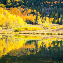 Autumn Mirror - Colorado
