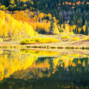 Autumn Mirror - Colorado