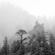 Canyon Meditation - Boulder Canyon, Colorado
