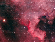 North America Nebula - Astrophoto