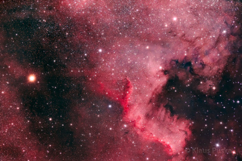 North America Nebula - Astrophoto